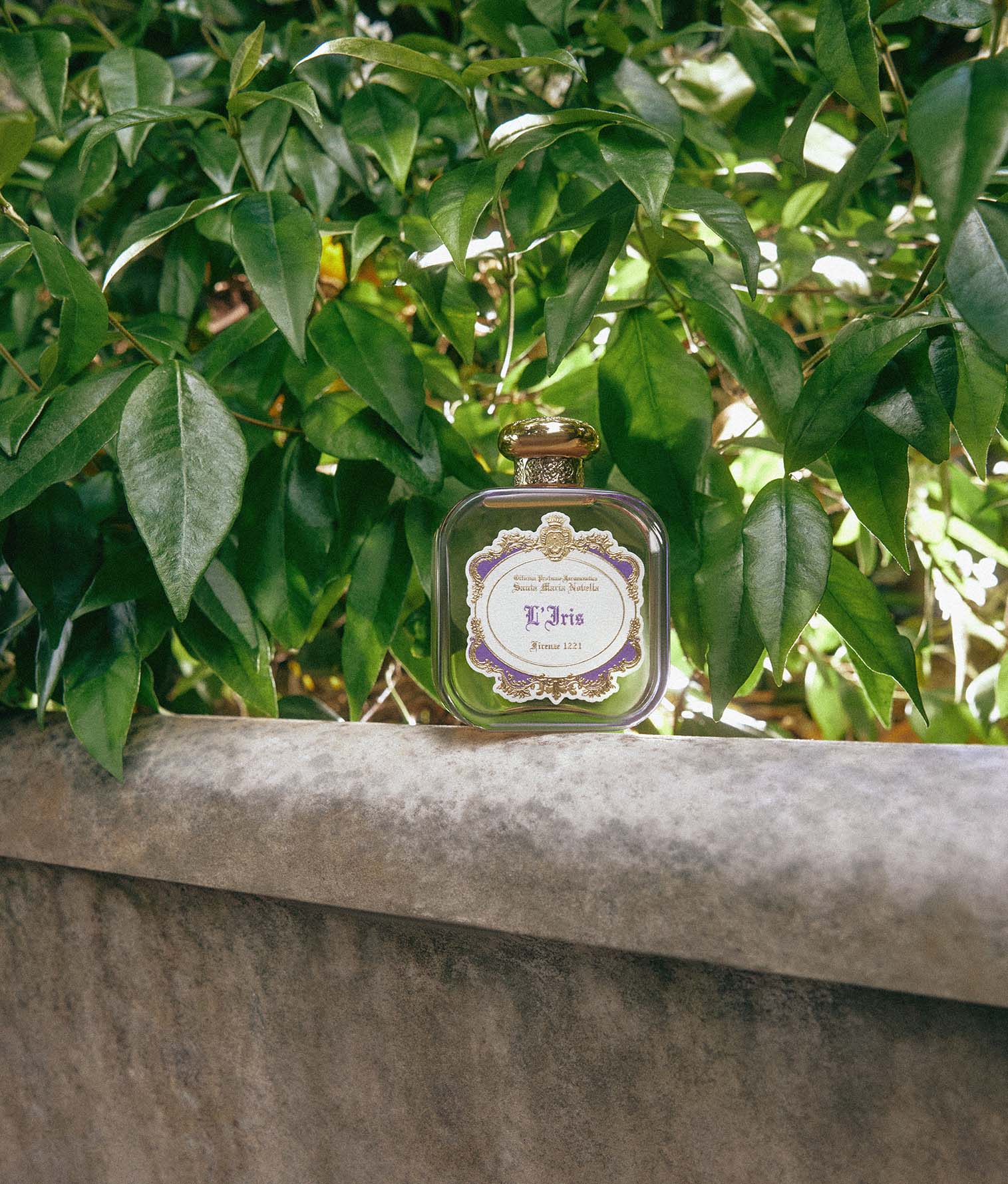 サンタマリアノヴェッラ オードトワレ チューベローザ　100ml 楽天市場】サンタマリアノヴェッラ SANTA MARIA NOVELLA オーデコロン