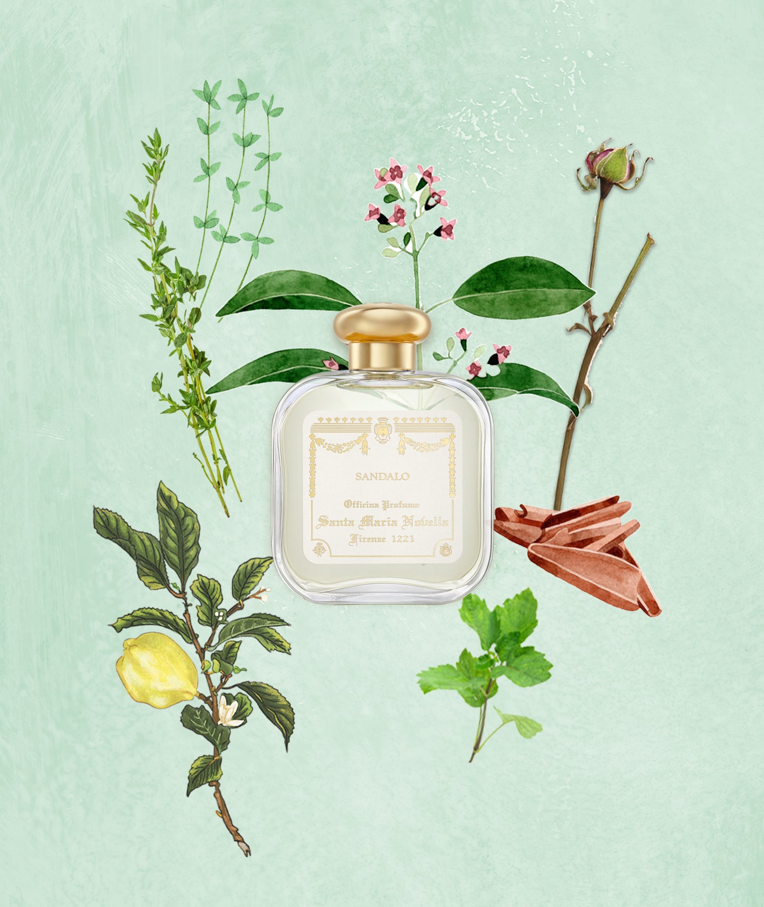 サンダーロ オーデコロン 100ml｜サンタ・マリア・ノヴェッラ