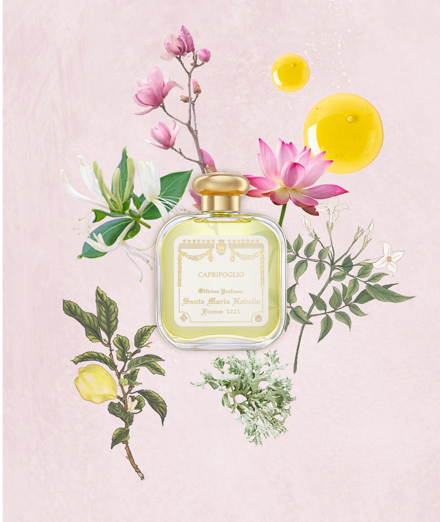 カプリフォーリオ 100ml｜サンタ・マリア・ノヴェッラ