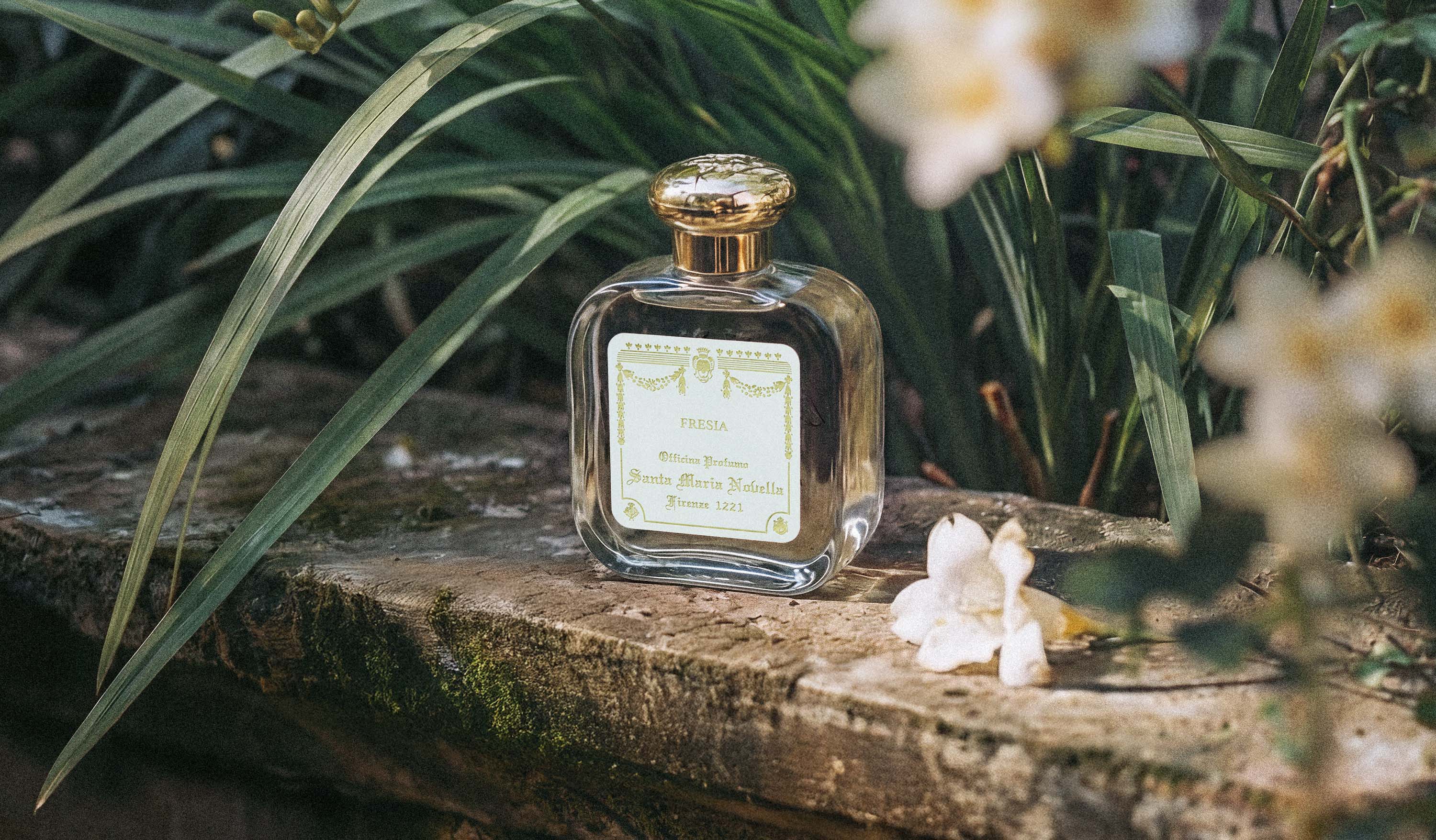 公式】サンタ・マリア・ノヴェッラ（Santa Maria Novella）