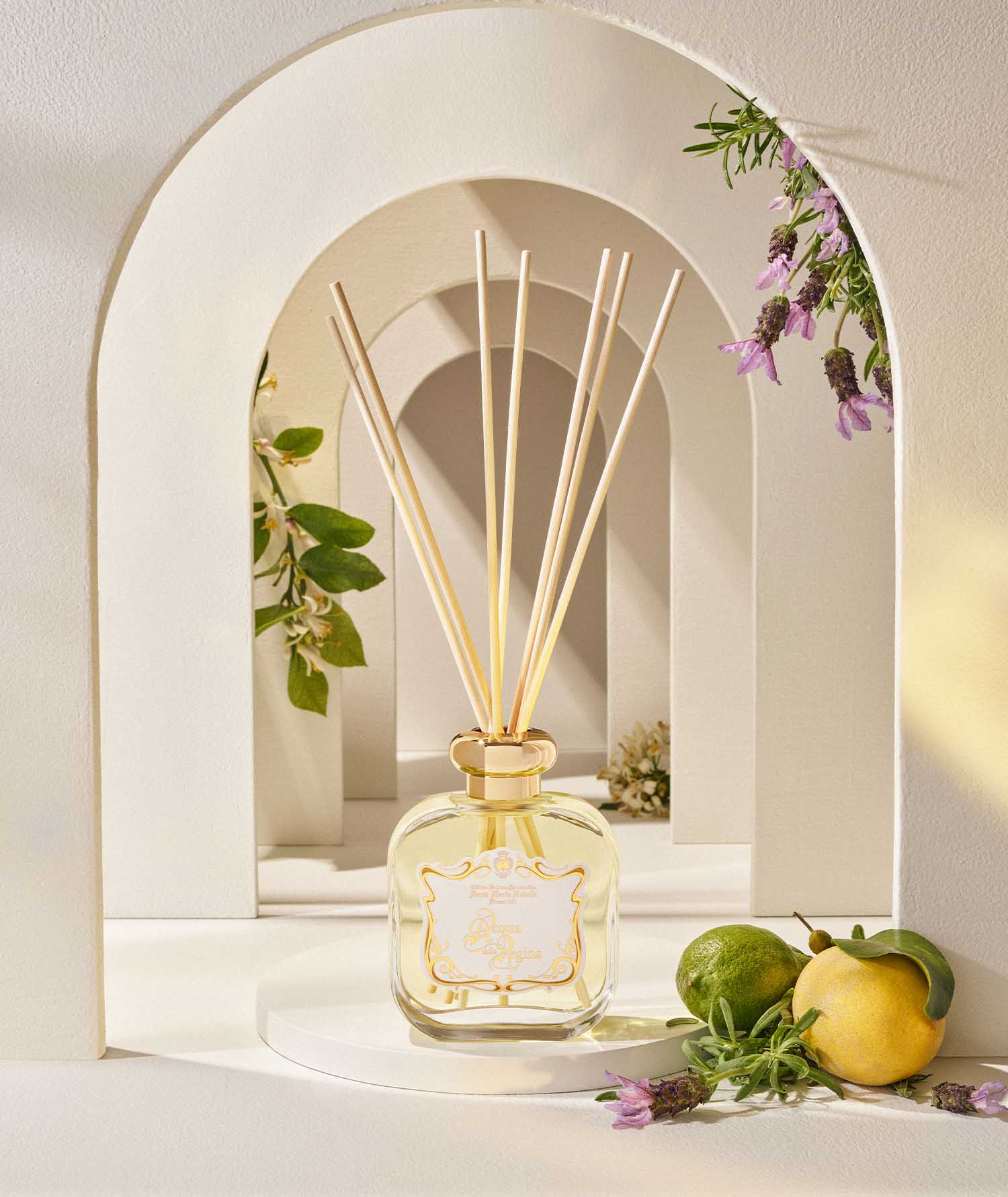 アクア デッラ レジーナ｜サンタ・マリア・ノヴェッラ