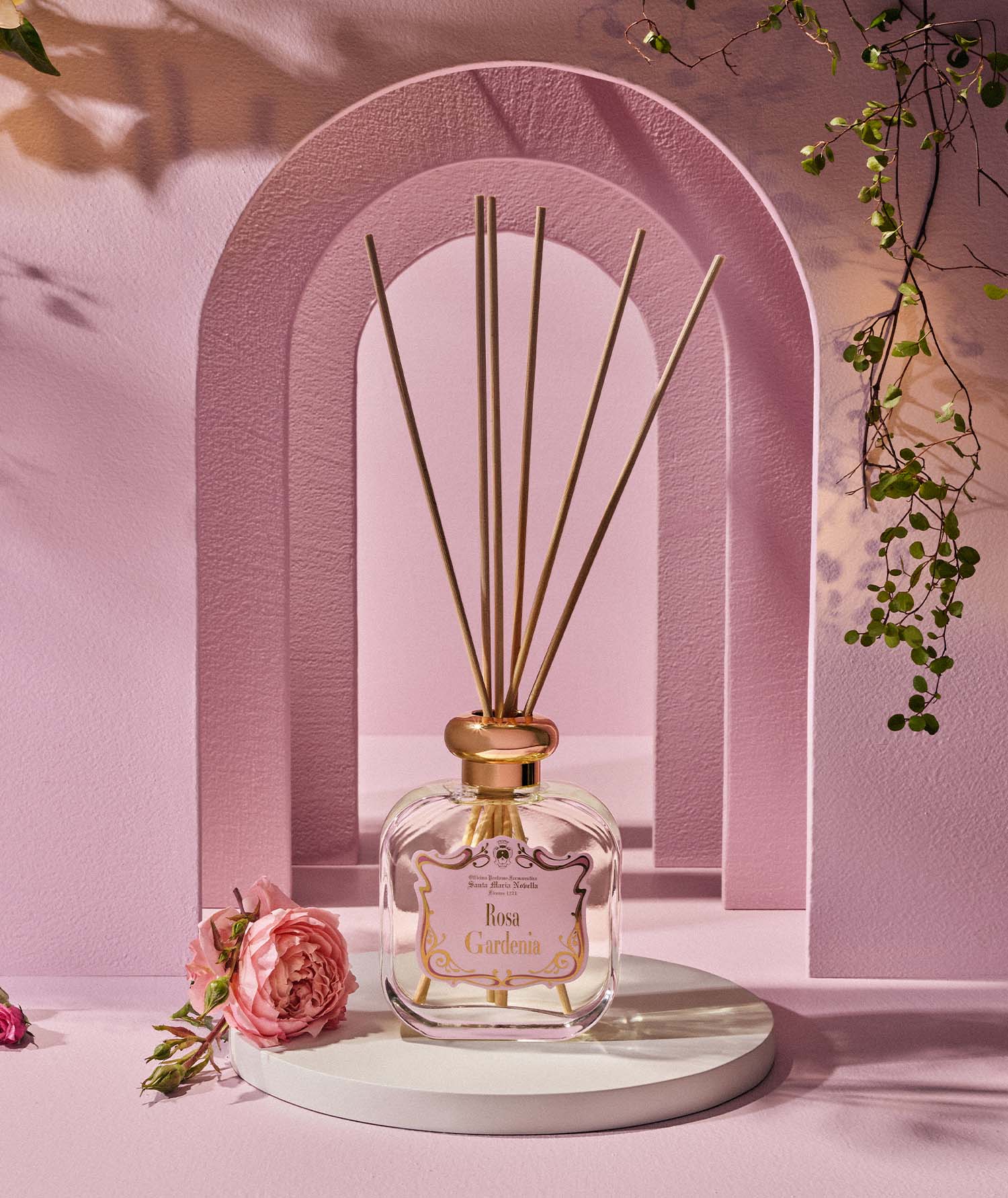 ローザ ガーデニア｜サンタ・マリア・ノヴェッラ