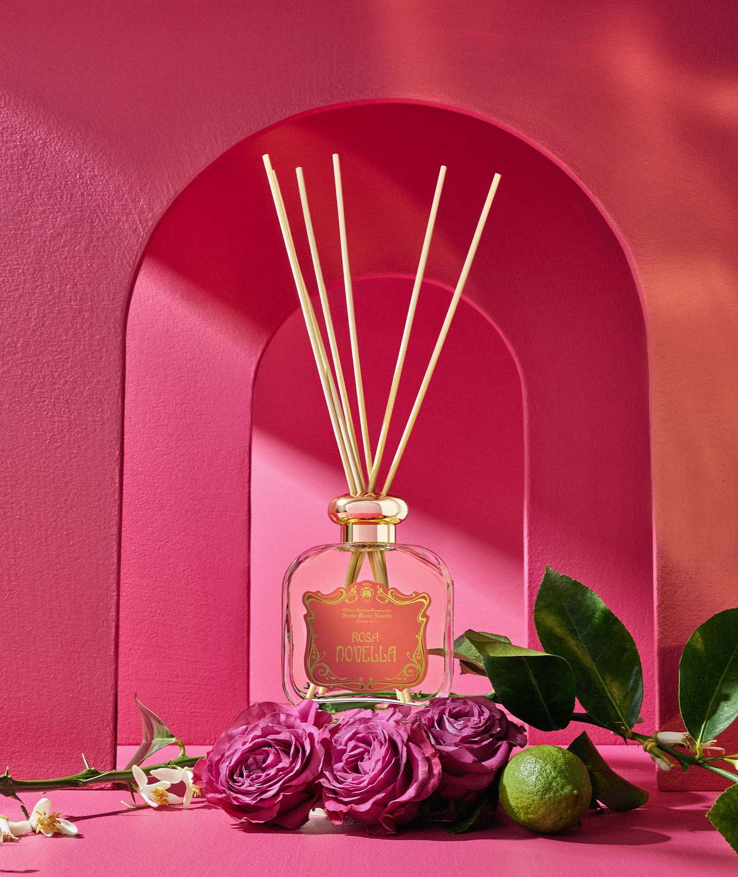 ローザ ノヴェッラ｜サンタ・マリア・ノヴェッラ