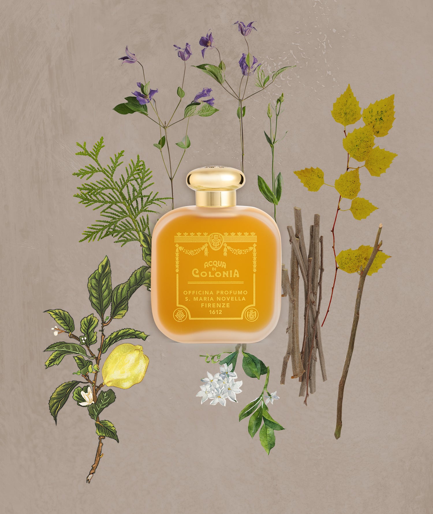 ポー デスパーニュ オーデコロン 100ml | サンタ・マリア・ノヴェッラ